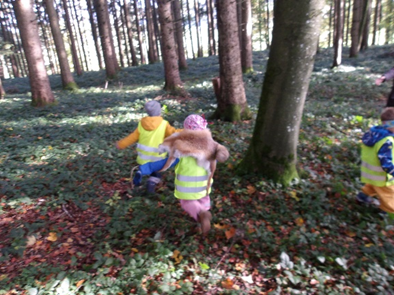 Wald_05.png