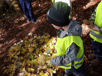 Wald_09.png